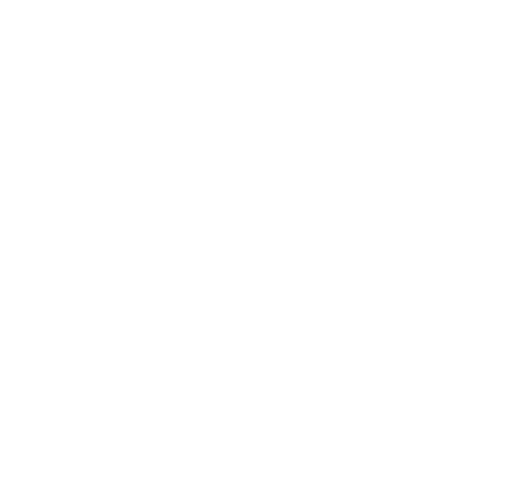 Jordan Brand Jumpman Logo